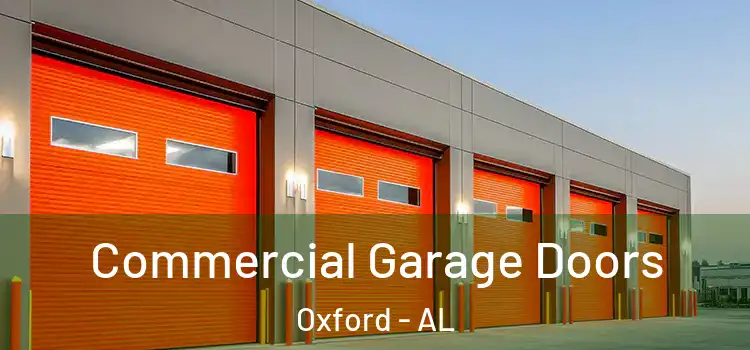  Commercial Garage Doors Oxford - AL
