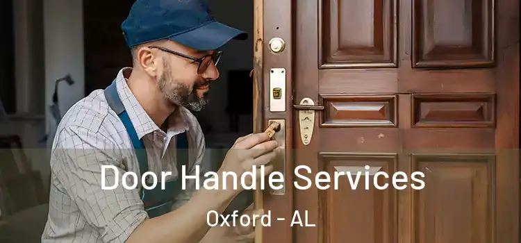 Door Handle Services Oxford - AL
