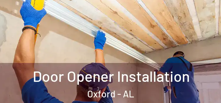  Door Opener Installation Oxford - AL