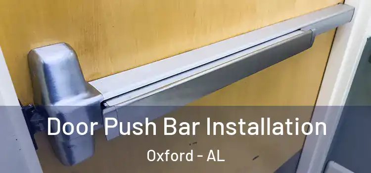 Door Push Bar Installation Oxford - AL