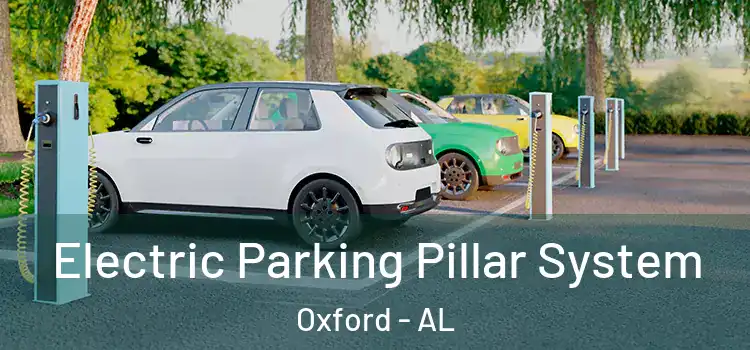  Electric Parking Pillar System Oxford - AL