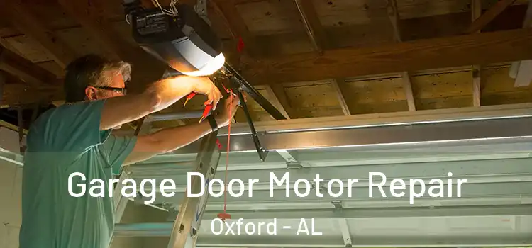  Garage Door Motor Repair Oxford - AL