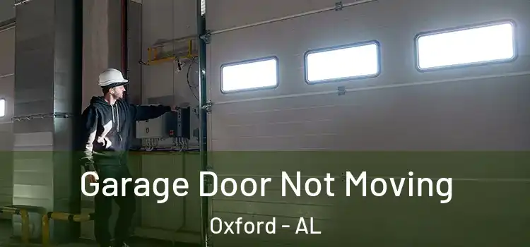  Garage Door Not Moving Oxford - AL