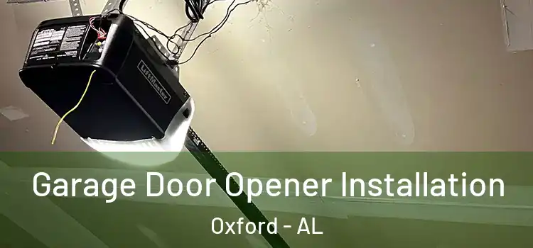  Garage Door Opener Installation Oxford - AL