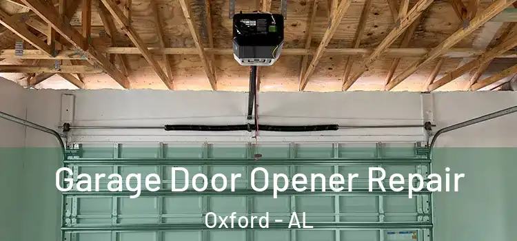  Garage Door Opener Repair Oxford - AL