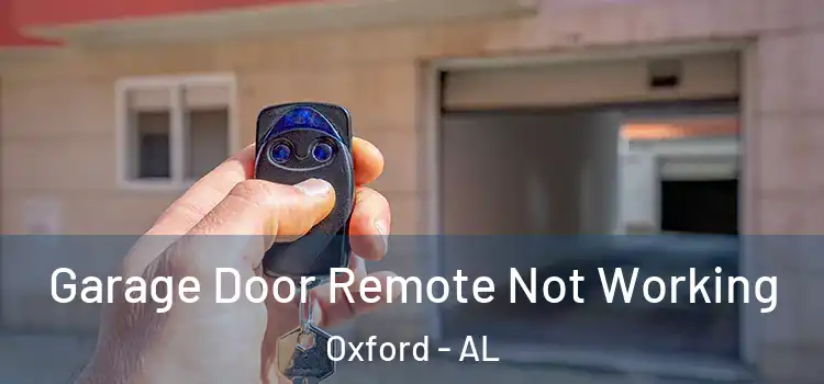  Garage Door Remote Not Working Oxford - AL