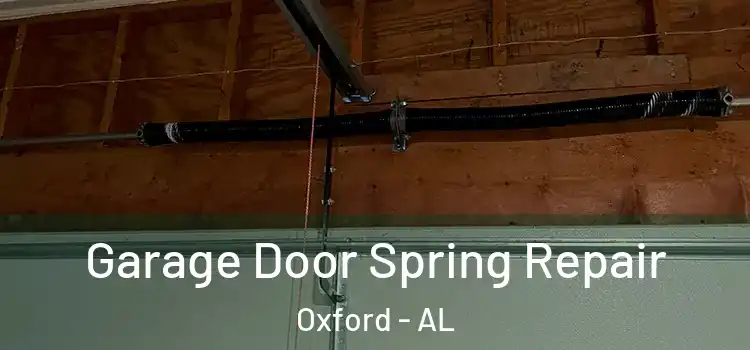  Garage Door Spring Repair Oxford - AL